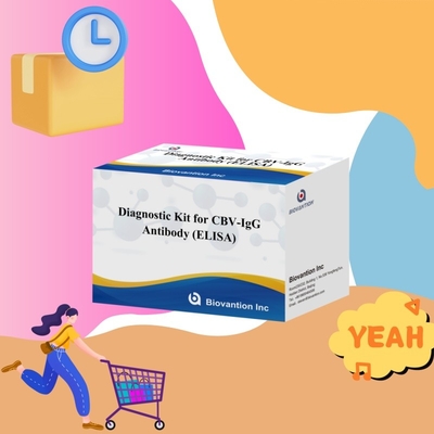 고특별 CBV-IgG 항체 인체 탐지 Elisa 키트