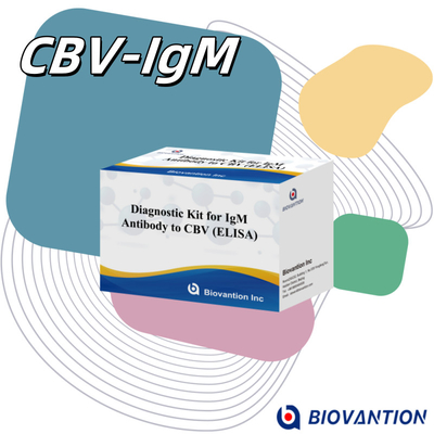 CBV igm ELISA KIT D 진단 반응기 18 개월 유효기간 효소 연결 면역 흡수 검사