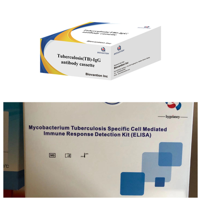 결핵에 대한 매우 민감한 콜로이드 금 급검증 결핵 -IgG 항체 검출