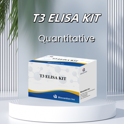 트라이오도티로닌 T3 ELISA 테스트 키트 / 엘리사 스크리닝 키트 결과 2-3 시간