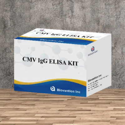 실험실 또는 병원 고정도 CMV IgG Elisa 테스트 키트