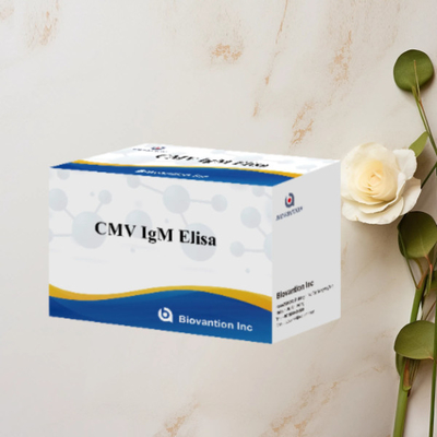 CMV IgM ELISA 키트 높은 정확성 임산부 예방 검사