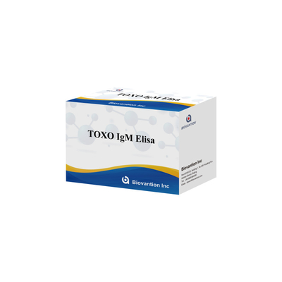 TOXO IgG 감수성 및 특정 ELISA 테스트 키트 질병 모니터링