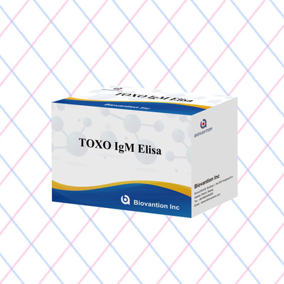 TOXO IgG 감수성 및 특정 ELISA 테스트 키트 질병 모니터링