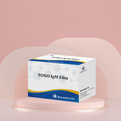 TOXO IgM Elisa Kit 인체용 진단 반응기 테스트 키트 96 키트