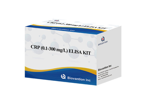 Hs-CRP IVD Elisa 테스트 고민성 C 반응성 단백질 생체 반응
