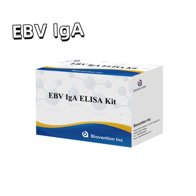 EBV HUMAN ELISA 테스트 키트 2-8°C 감수성 진단 키트 EBV-EA에 대한 IgA 항체를 위해