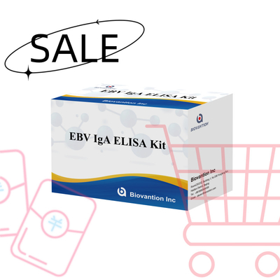 EBV HUMAN ELISA 테스트 키트 2-8°C 감수성 진단 키트 EBV-EA에 대한 IgA 항체를 위해