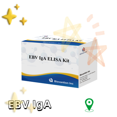 EBV HUMAN ELISA 테스트 키트 2-8°C 감수성 진단 키트 EBV-EA에 대한 IgA 항체를 위해