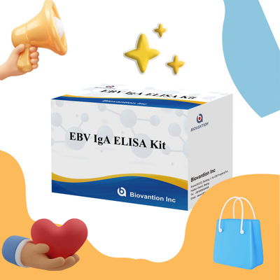 EBV HUMAN ELISA 테스트 키트 2-8°C 감수성 진단 키트 EBV-EA에 대한 IgA 항체를 위해