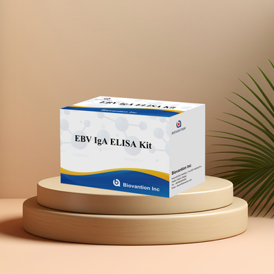 EBV HUMAN ELISA 테스트 키트 2-8°C 감수성 진단 키트 EBV-EA에 대한 IgA 항체를 위해