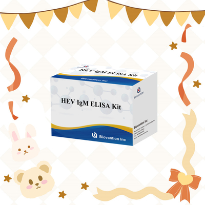 정확하고 민감한 HEV-IgM Elisa 테스트 키트