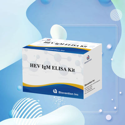 정확하고 민감한 HEV-IgM Elisa 테스트 키트