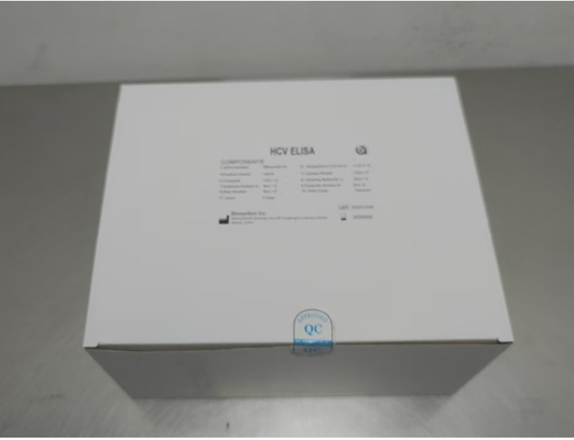 간염 C 바이러스 효소와의 연관성 있는 항 HCV 항체