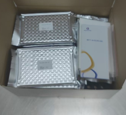 간염 C 바이러스 효소와의 연관성 있는 항 HCV 항체
