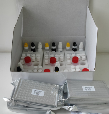 실험실 또는 병원 고정도 H.Pylori IgG Elisa 테스트 키트