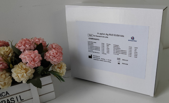 실험실 또는 병원 고정도 H.Pylori IgG Elisa 테스트 키트