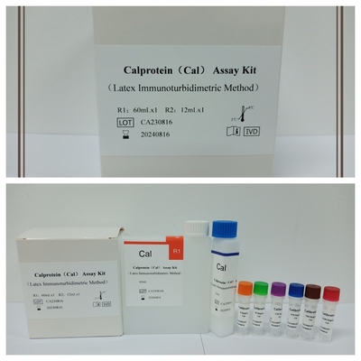 질병 검출 및 관리에 필요한 정확한 Cal Calprotein Assay 테스트 키트
