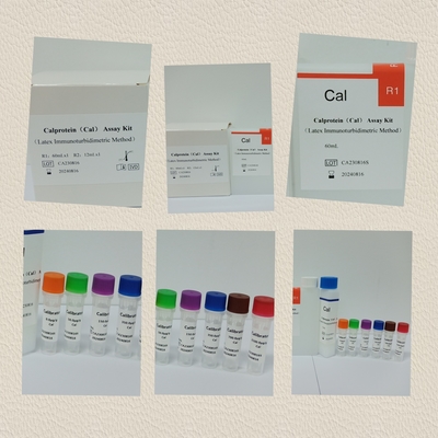질병 검출 및 관리에 필요한 정확한 Cal Calprotein Assay 테스트 키트