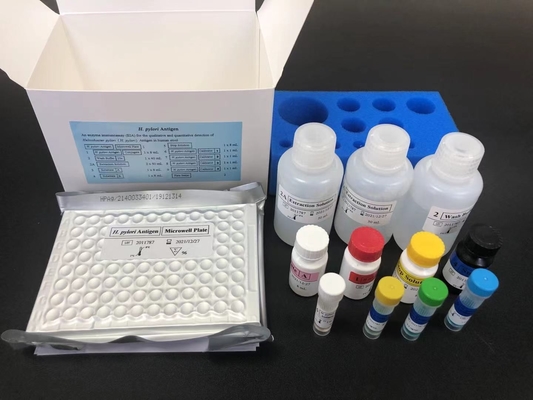 헬리코박터 HP 항체 IgG ELISA 키트 H.Pylori IgG