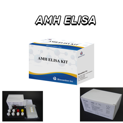 정확하고 분석된 검출 및 측정을 위한 고급 AMH Elisa 테스트 키트