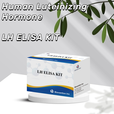 질병 및 감염의 조기 발견을 위한 진단용 민감 LH ELISA 테스트 키트