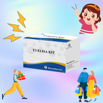 타겟 물질의 정확한 검출을 위한 고특정 T3 Elisa 테스트 키트