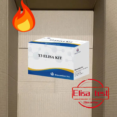 T3 엘리사 검사 키트실험병원 클리닉 T3 트라이오도티로닌