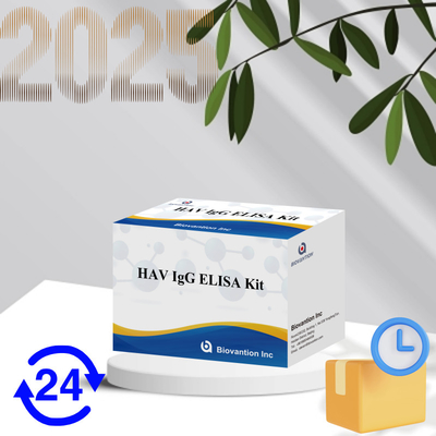 높은 감수성 HAV IgG ELISA 키트 정확한 A형 간염 바이러스 검출 신뢰할 수 있는 CE 인증 임상 및 연구용