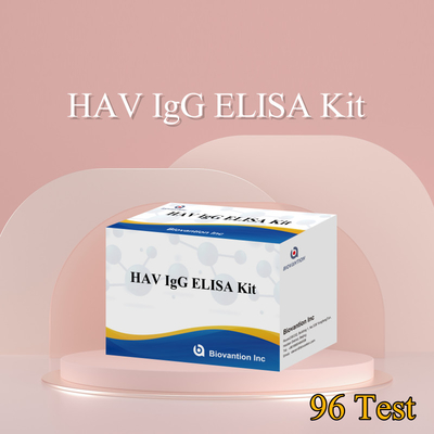 높은 감수성 HAV IgG ELISA 키트 정확한 A형 간염 바이러스 검출 신뢰할 수 있는 CE 인증 임상 및 연구용