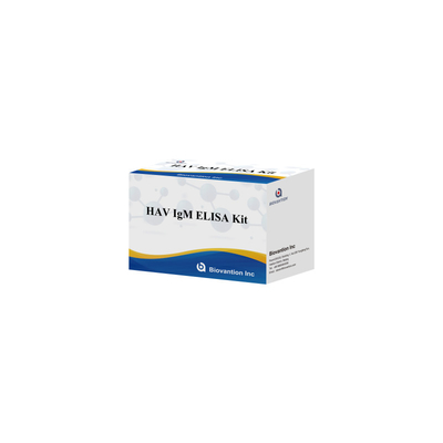 HAV IgM ELISA Kit 고민성 A 바이러스 검출 임상 실험실용 신뢰성 높은 정확한 진단 검사