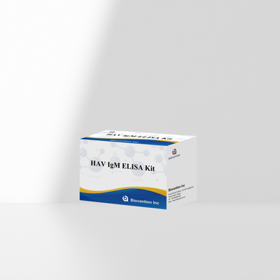 HAV IgM ELISA Kit 고민성 A 바이러스 검출 임상 실험실용 신뢰성 높은 정확한 진단 검사