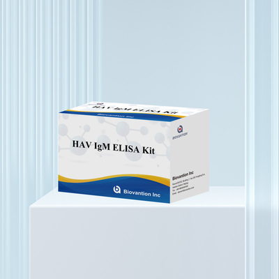 HAV IgM ELISA Kit 고민성 A 바이러스 검출 임상 실험실용 신뢰성 높은 정확한 진단 검사