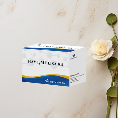 HAV IgM ELISA Kit 고민성 A 바이러스 검출 임상 실험실용 신뢰성 높은 정확한 진단 검사