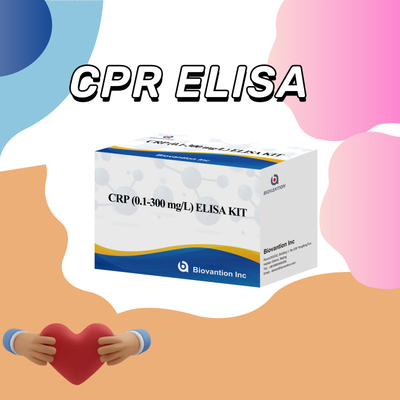 정확한 CRP 0.1-300 Mg/L 생물학적 물질의 민감한 검출을 위한 Elisa 테스트 키트