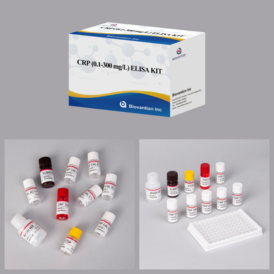 정확한 CRP 0.1-300 Mg/L 생물학적 물질의 민감한 검출을 위한 Elisa 테스트 키트