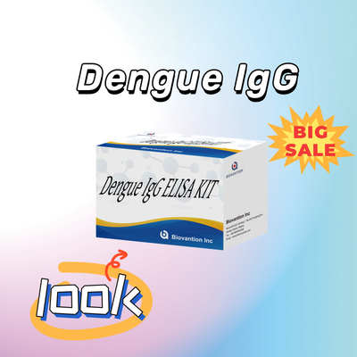 민감하고 특정 결과를 위한 고성능 덩고 IgG Elisa 테스트 키트