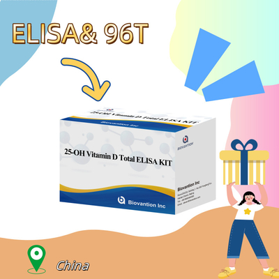 25-OH 비타민 D ELISA 테스트 키트 인간 혈청에서 비타민 D 수치를 정확하게 검출하기 위한 높은 민감성과 특수성