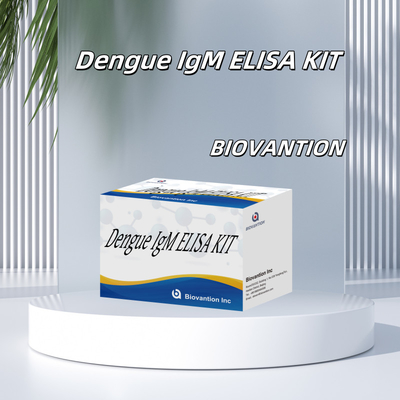 임상 환경에서 정확하고 질병 검진 및 모니터링을 위한 혁신적인 덩게 IgM Elisa 테스트 키트