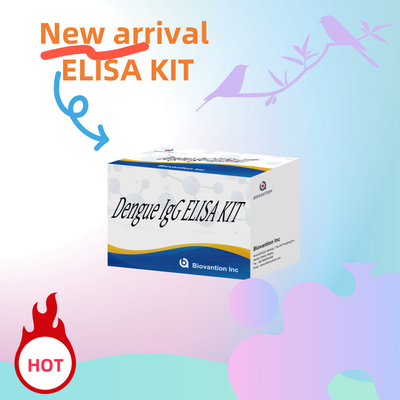 특정 및 생물학적 샘플 분석을 위한 맞춤형 덩고 IgG ELISA 키트