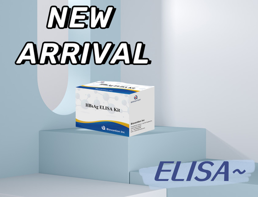 각종 물질의 정확한 검출을 위한 매우 민감한 HBsAg Elisa 테스트 키트