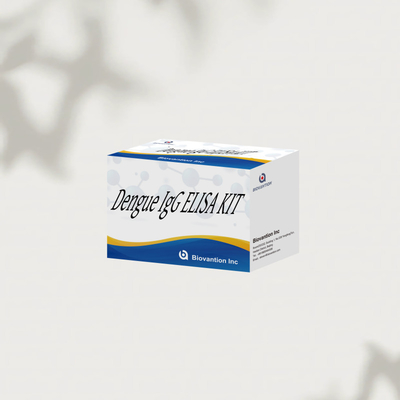 민감하고 정확한 결과를 얻기 위한 고성능 덩고 IgG ELISA Kit 96 테스트