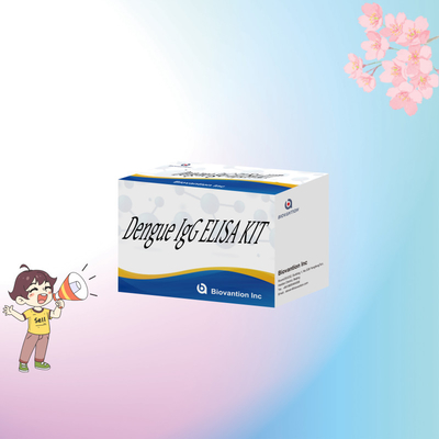 민감하고 정확한 결과를 얻기 위한 고성능 덩고 IgG ELISA Kit 96 테스트