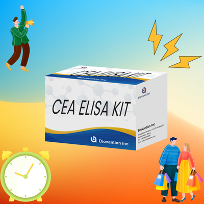 고성능 CEA 정량 ELISA 테스트 키트 연구 및 임상용