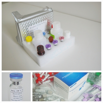 높은 민감도 정확성 TB-IGRA Elisa 테스트 키트