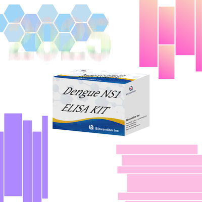 ELISA Dengue Ns1 테스트 키트 96 테스트 1시간 이내에 빠른 읽기 시간