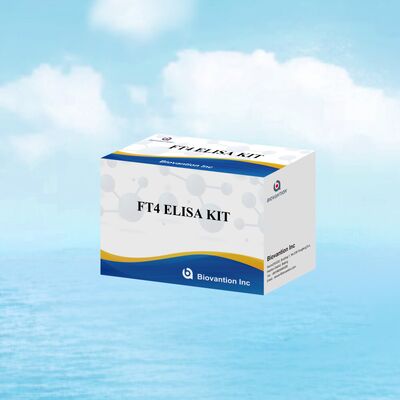 갑상선 질환에 대한 98%의 특수성과 95%의 감수성을 가진 정확한 FT4 엘리사 테스트 키트 (96개의 테스트)