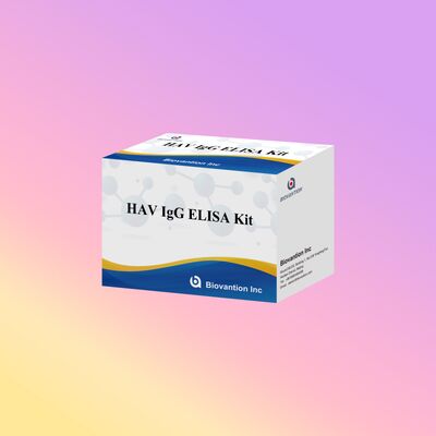 높은 감수성 HAV IgG ELISA Kit (0.2 ng/mL) CE 인증 96 테스트에서 정확한 A형 간염 바이러스 검출