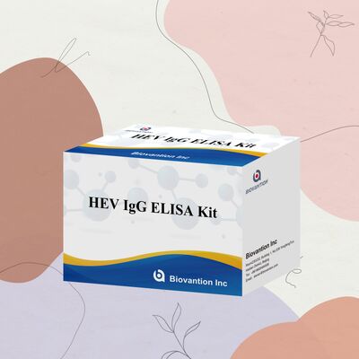 높은 민감성 HEV-IgG ELISA 테스트 키트 96T 크기와 18 개월의 유효 기간으로 간염 E 진단