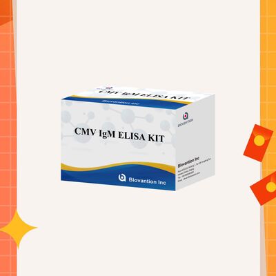 96T CMV ELISA 테스트 키트 (색상 발현 및 샌드위치 방법) - 거대세포바이러스 항체용